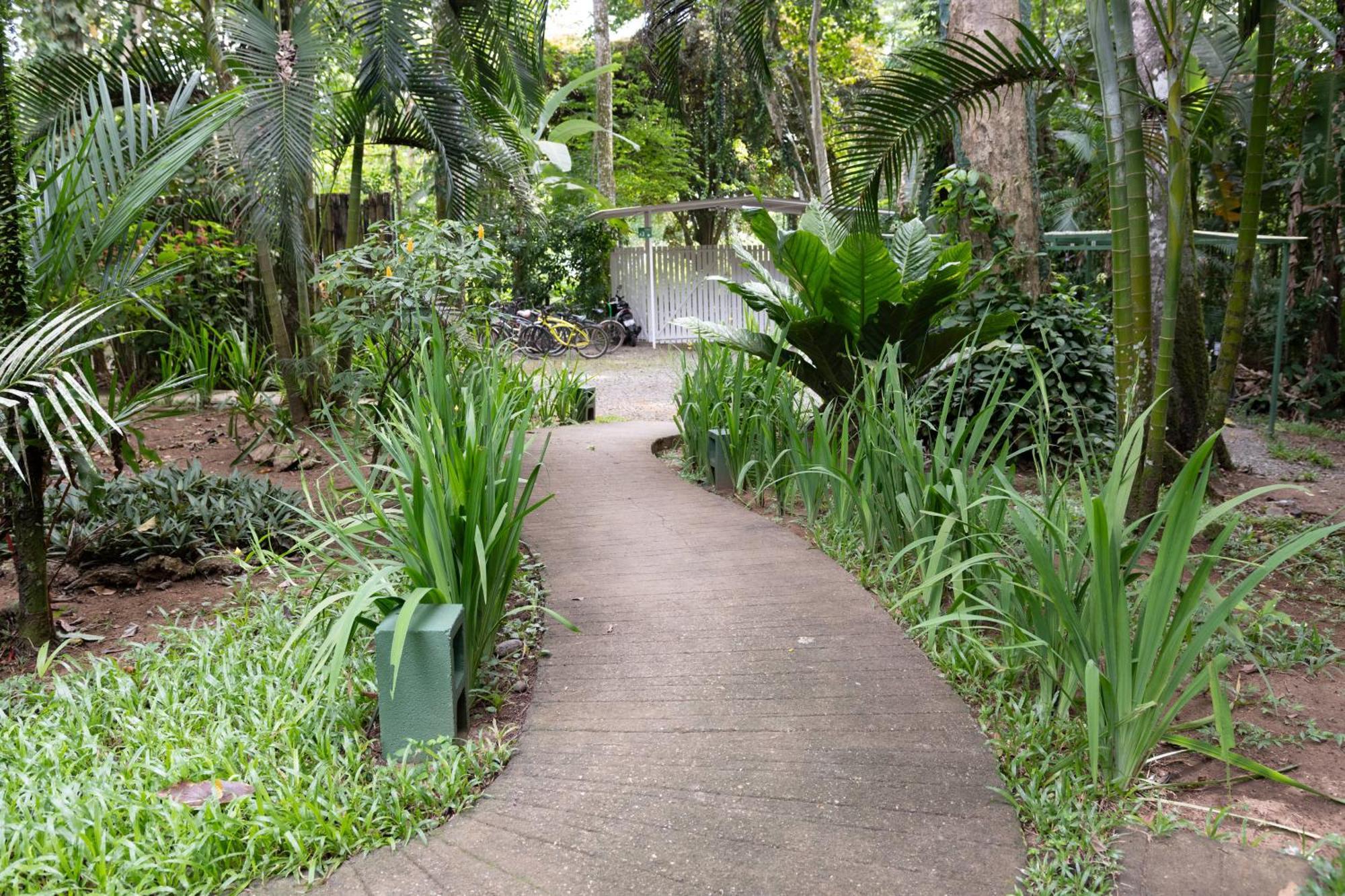 Jaguar Inn Bungalows Puerto Viejo de Talamanca Exterior foto