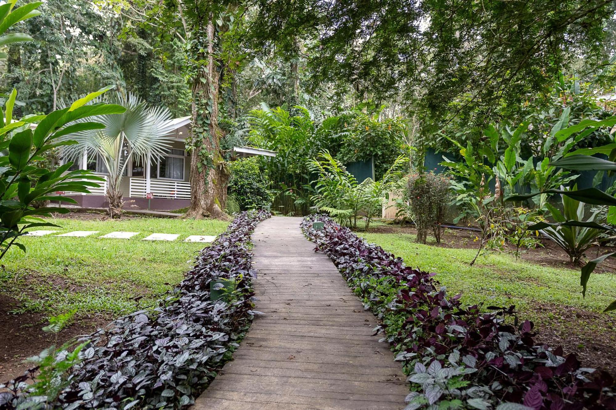 Jaguar Inn Bungalows Puerto Viejo de Talamanca Exterior foto